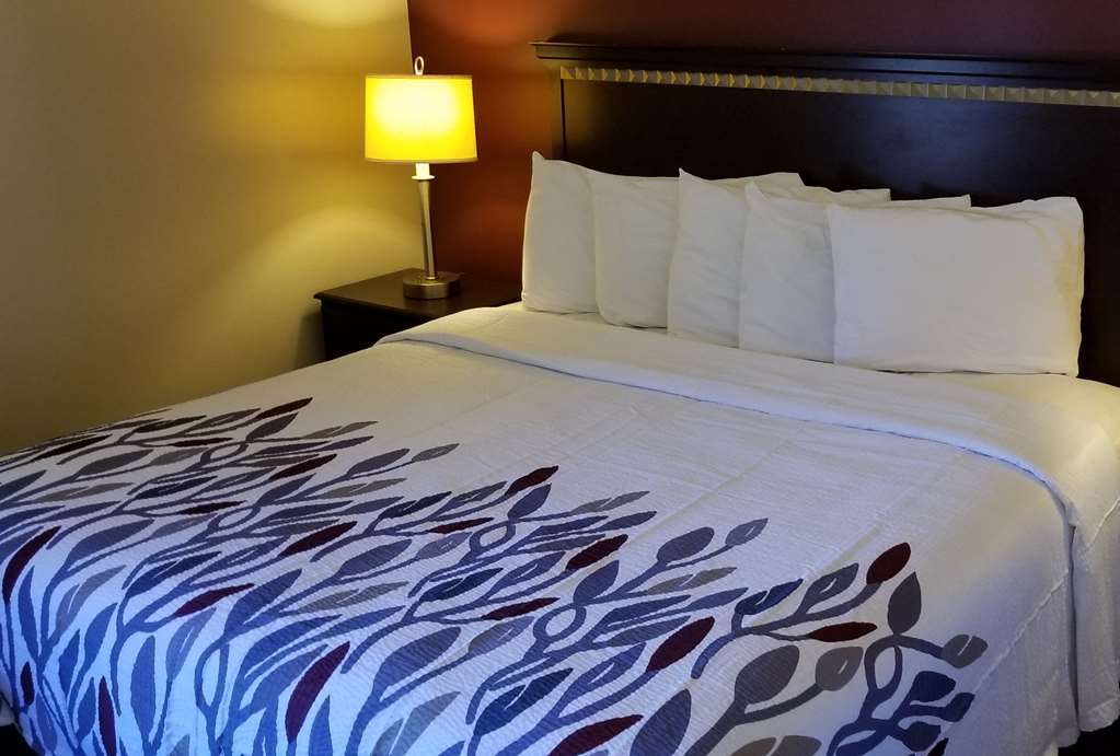 Red Roof Inn & Suites Wilson Pokój zdjęcie